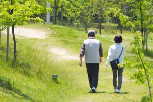 高齢者の整形外科