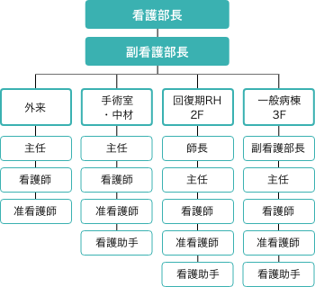 看護部の組織と職位